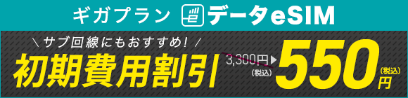 データeSIM初期費用割引