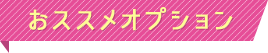 おススメオプション