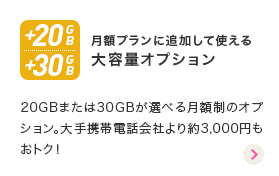 ��e�ʃI�v�V����