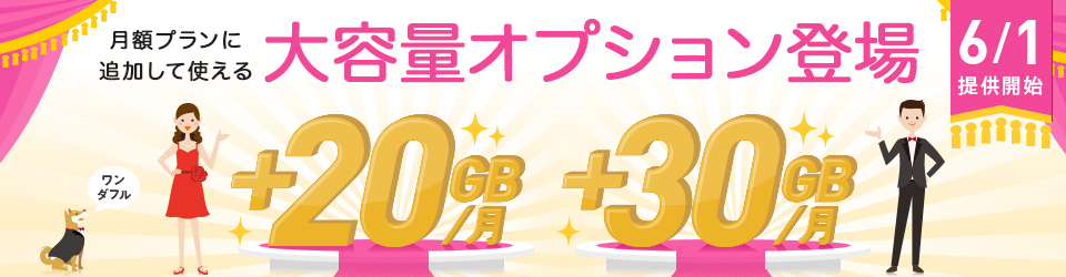 ��e�ʃI�v�V�����o��