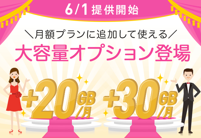 ��e�ʃI�v�V�����o��