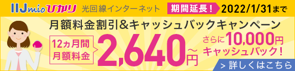 IIJmioひかりキャッシュバック＋月額割引キャンペーン 月額1,056円(税抜価格960円)割引×12ヵ月間
