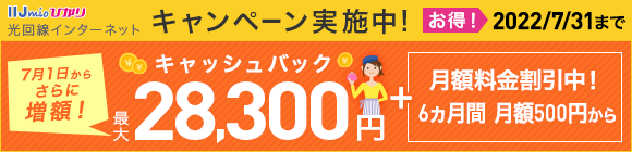 IIJmioひかりキャンペーン