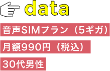 音声SIMプラン（5ギガ）月額990円（税込）30代男性